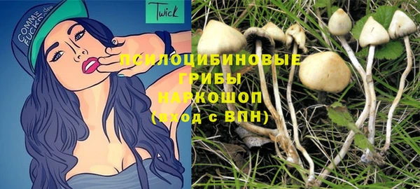 твердый Алзамай