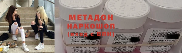шишки Новодвинск