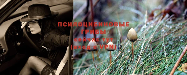 твердый Алзамай